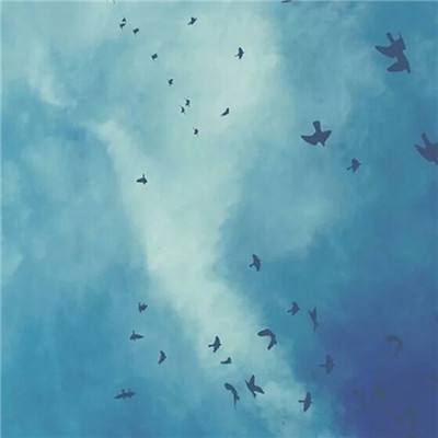 澳门正版资料大全手机app下载